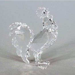 Rooster